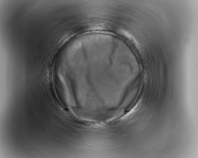 X0000094331353200711301220