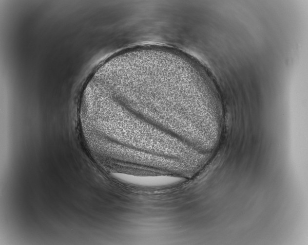 X0000094331359200711301220