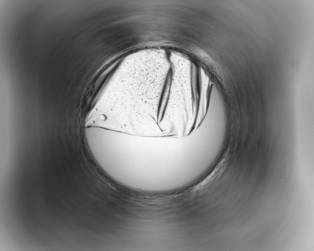 X0000094331361200711301220