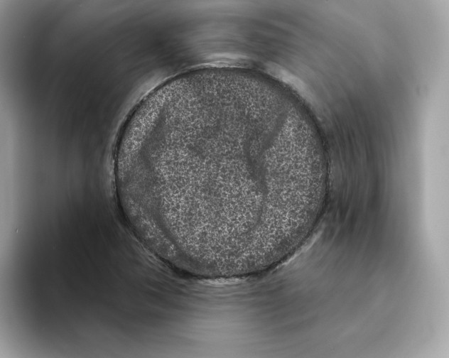 X0000094331362200711301220