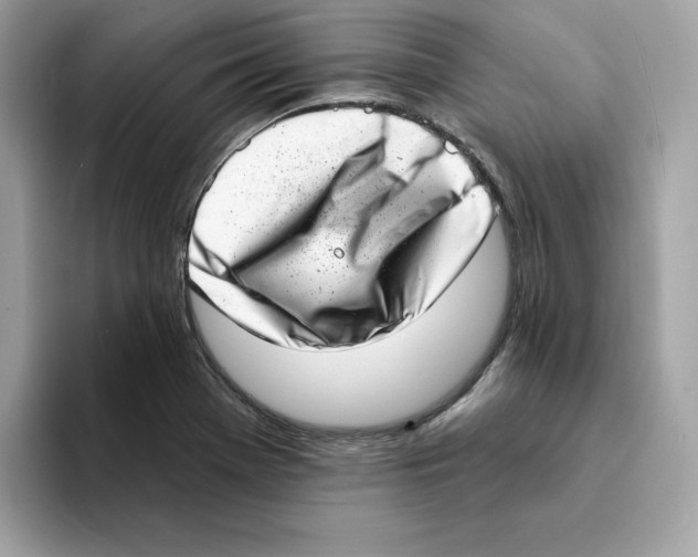 X0000094331369200711301220