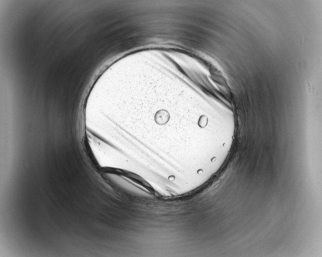 X0000094331371200711301220