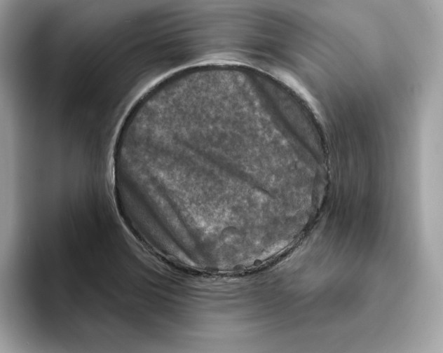 X0000094331372200711301220