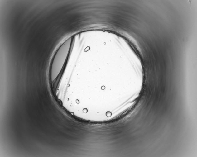 X0000094331373200711301220