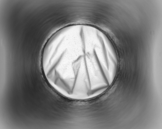 X0000094331374200711301220