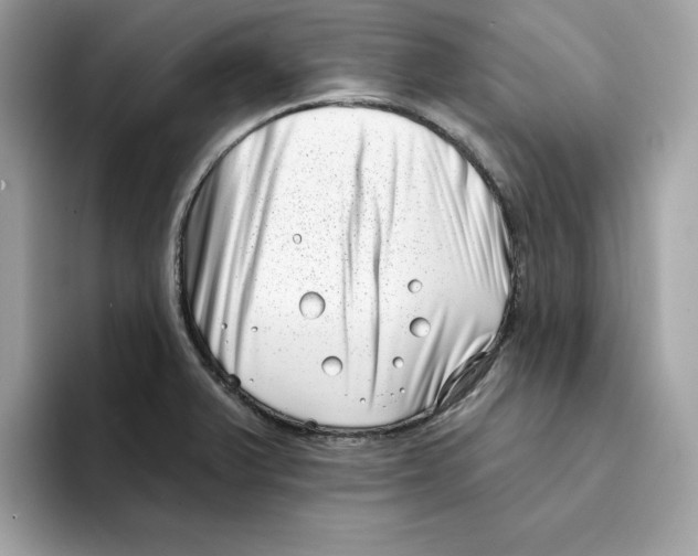 X0000094331375200711301220