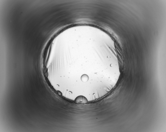 X0000094331376200711301220