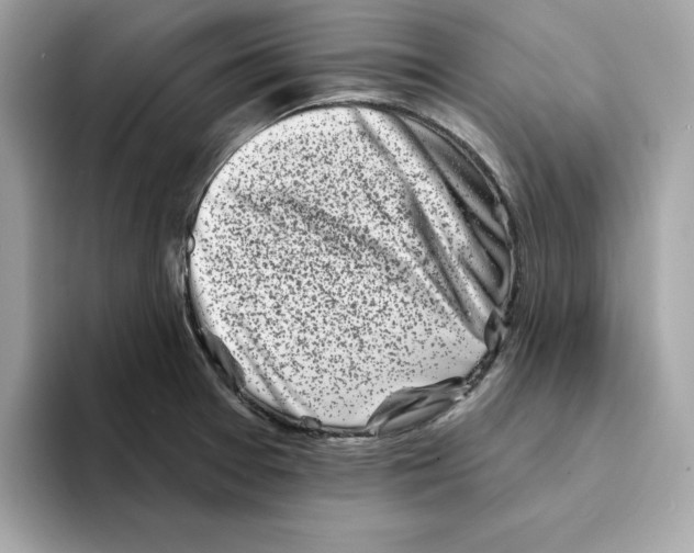 X0000094331377200711301220