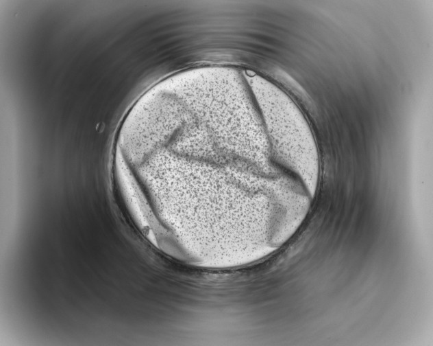 X0000094331378200711301220