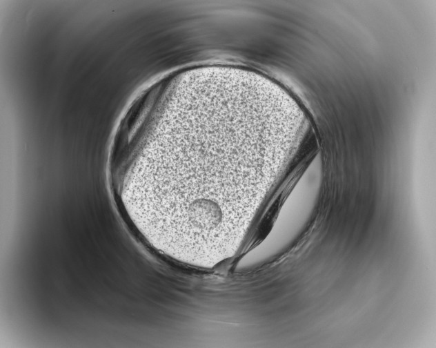 X0000094331379200711301220