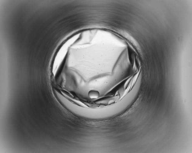 X0000094331380200711301220