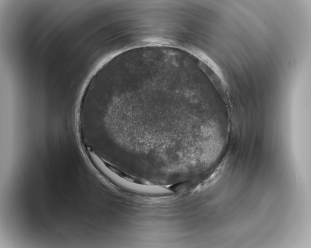 X0000094331381200711301220