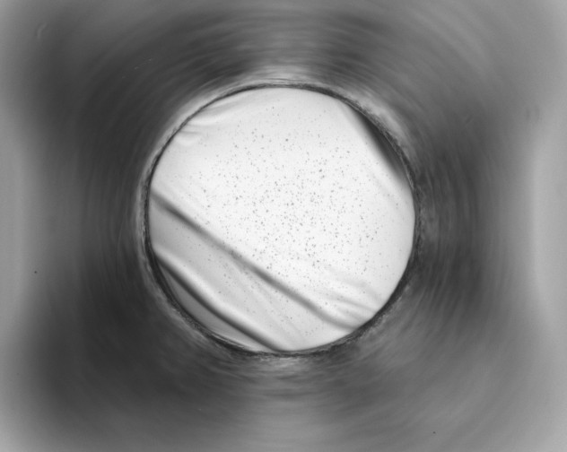 X0000094331382200711301220