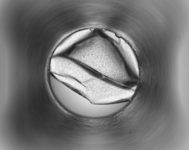 X0000094331383200711301220