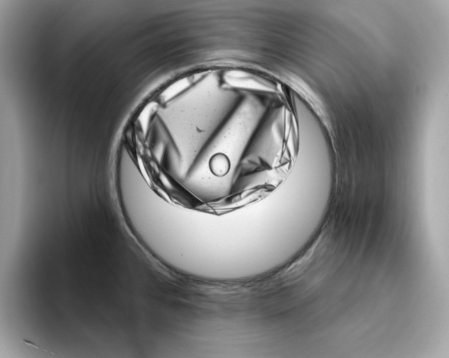 X0000094331384200711301220