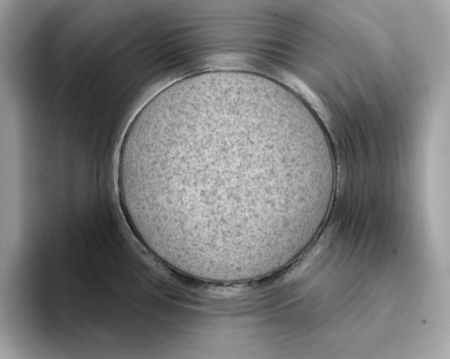 X0000094331386200711301220