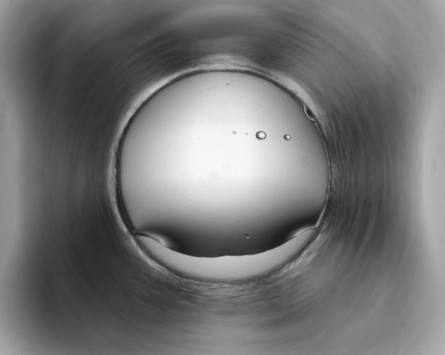 X0000094331387200711301220