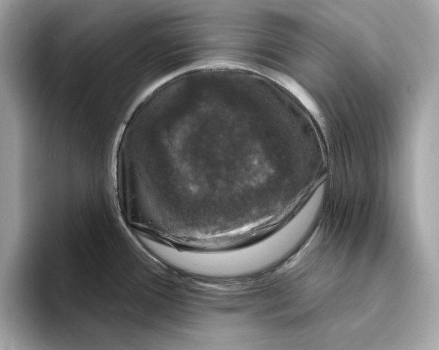 X0000094331388200711301220