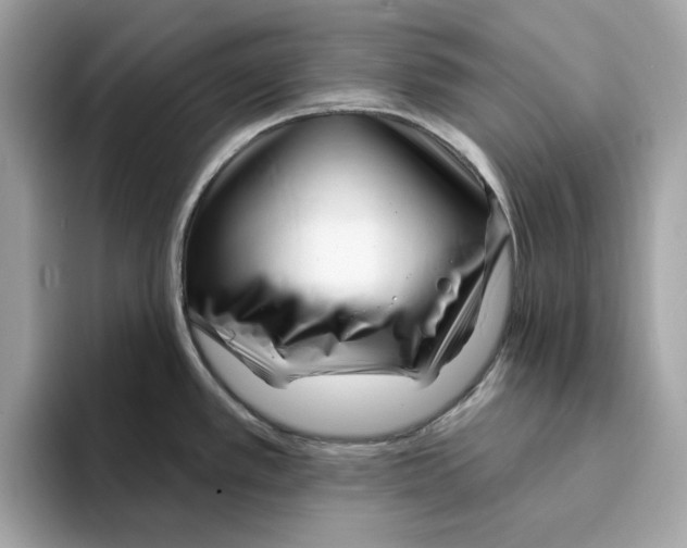 X0000094331389200711301220