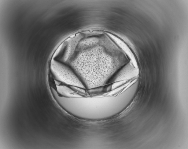 X0000094331390200711301219