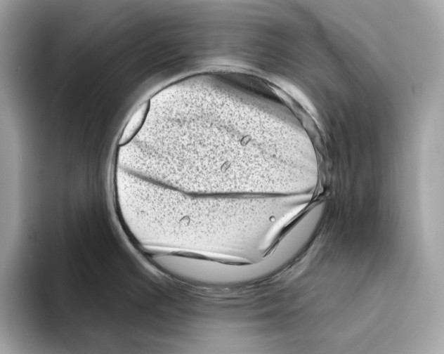 X0000094331391200711301219