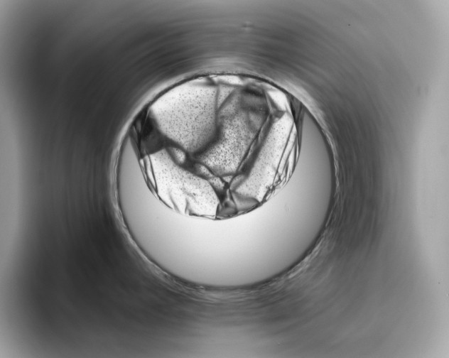 X0000094331392200711301219