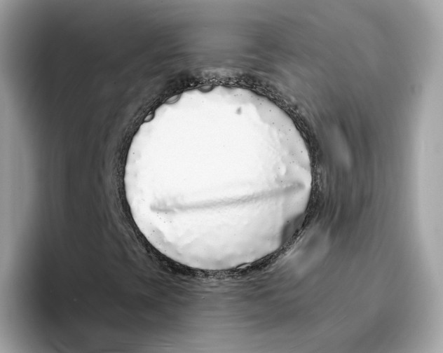 X0000094331393200711301219