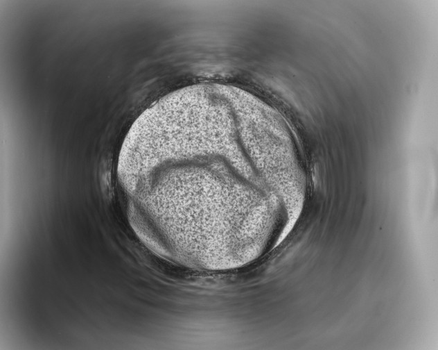 X0000094331396200711301219