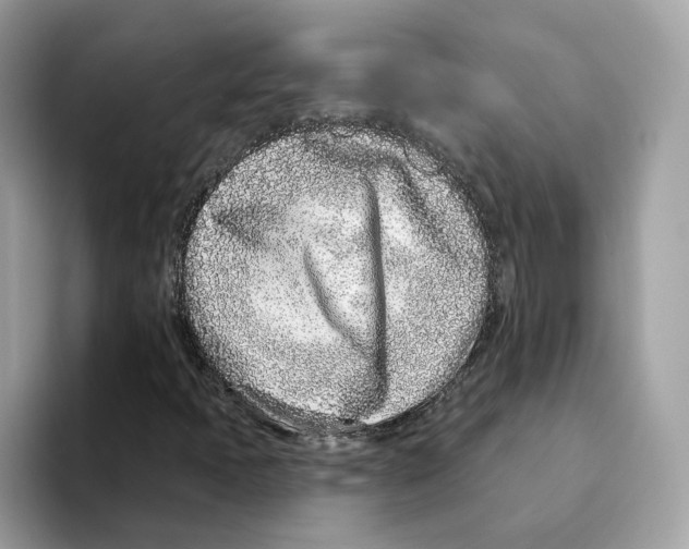 X0000094331397200711301219