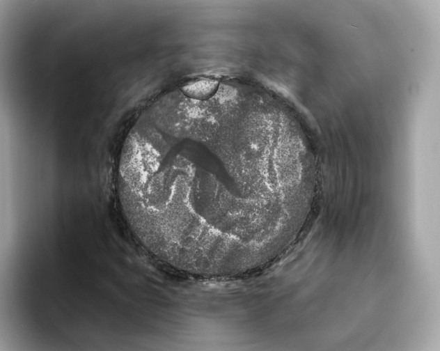 X0000094331399200711301219