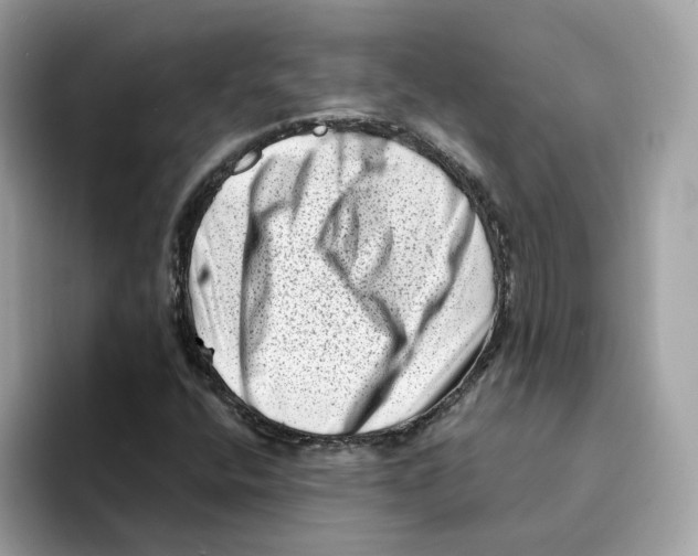 X0000094331400200711301219