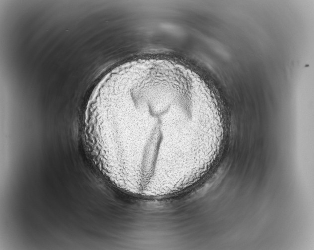 X0000094331401200711301219