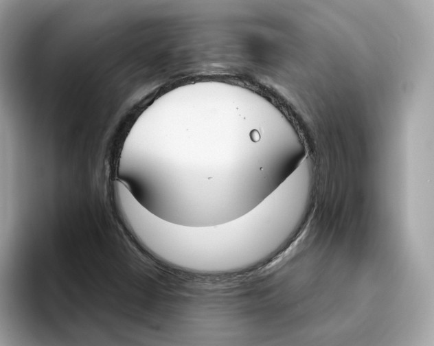 X0000094331402200711301219