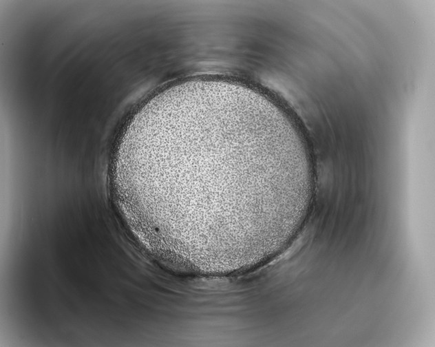 X0000094331403200711301219