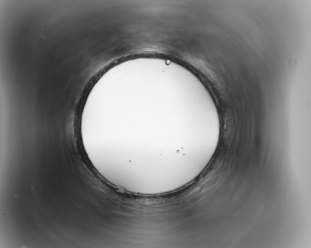 X0000094331404200711301219