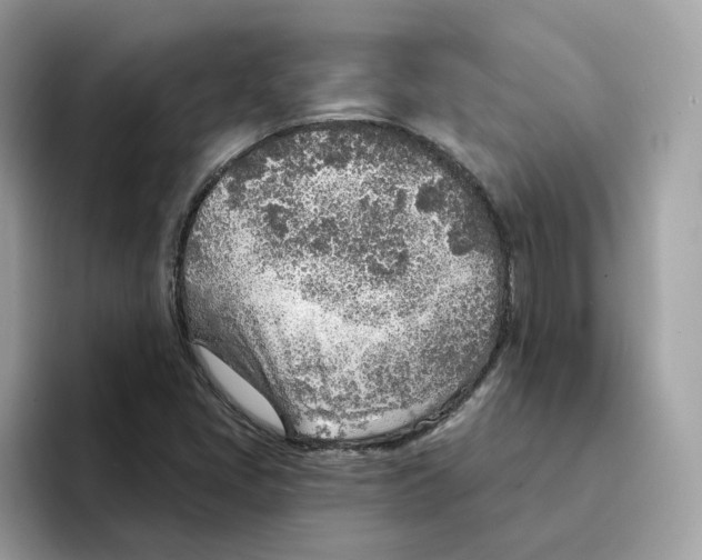 X0000094331405200711301219