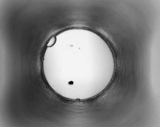 X0000094331408200711301219