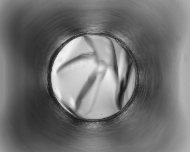 X0000094331410200711301219