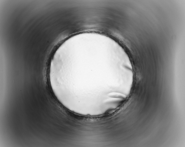 X0000094331411200711301219