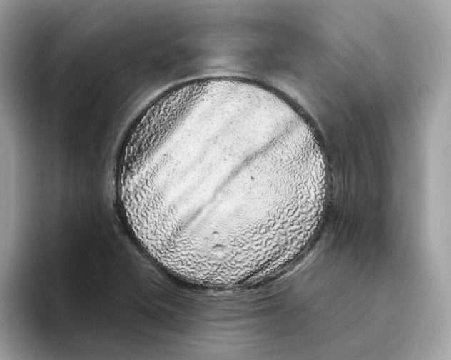 X0000094331415200711301219