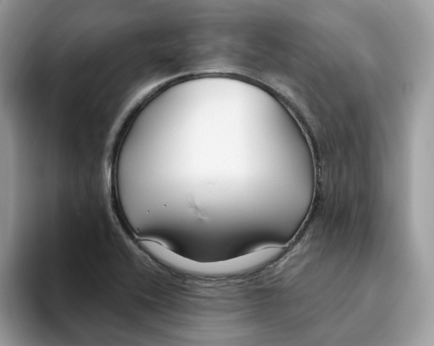 X0000094331416200711301219