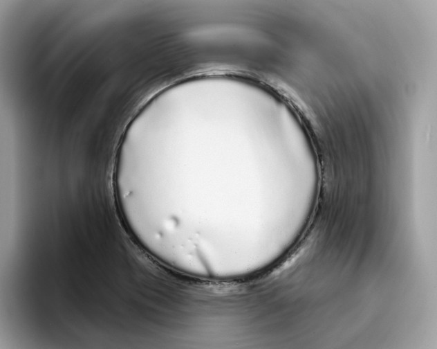 X0000094331417200711301219