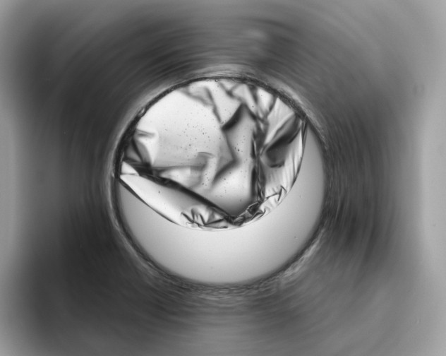 X0000094331418200711301219