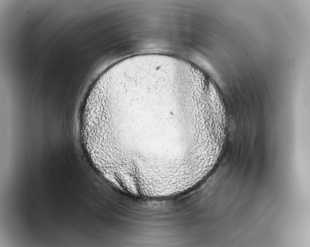 X0000094331419200711301219