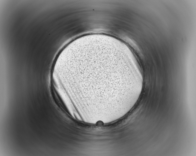 X0000094331420200711301219