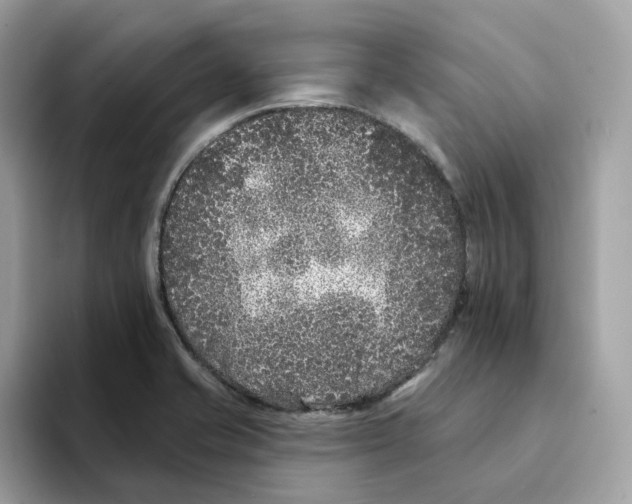 X0000094331421200711301219