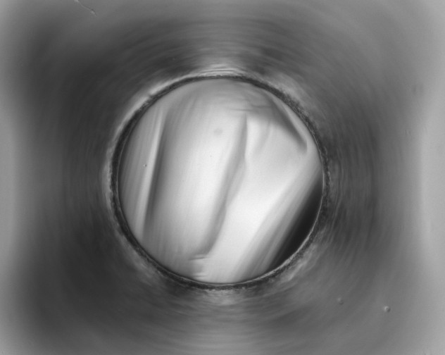 X0000094331422200711301219