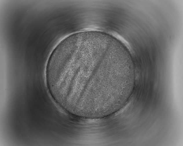 X0000094331423200711301219