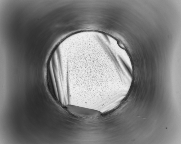 X0000094331424200711301219