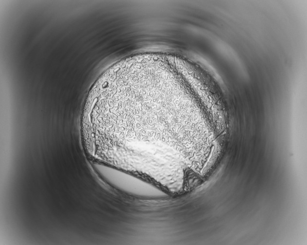 X0000094331425200711301219